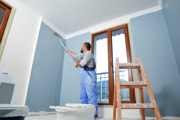 Best Mold Odor Removal Services  in Heath, TX