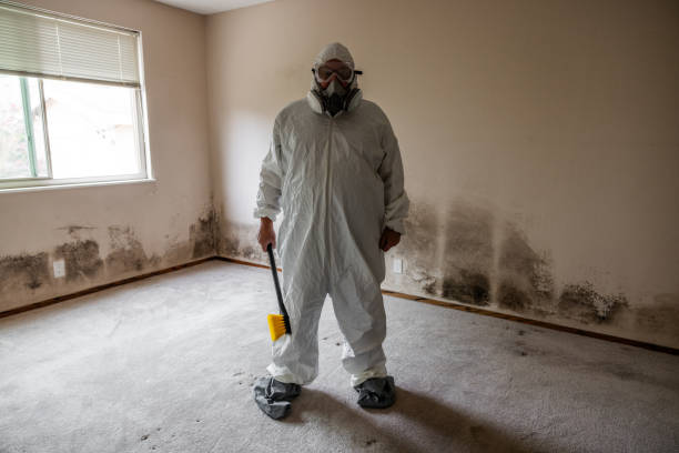 Professional Mold Removal in Heath, TX