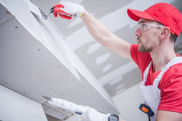 Best Emergency Mold Remediation  in Heath, TX