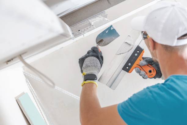 Biohazard Mold Removal in Heath, TX